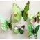 3D žali magnetiniai drugeliai