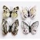 3D įvairiaspalviai magnetiniai drugeliai